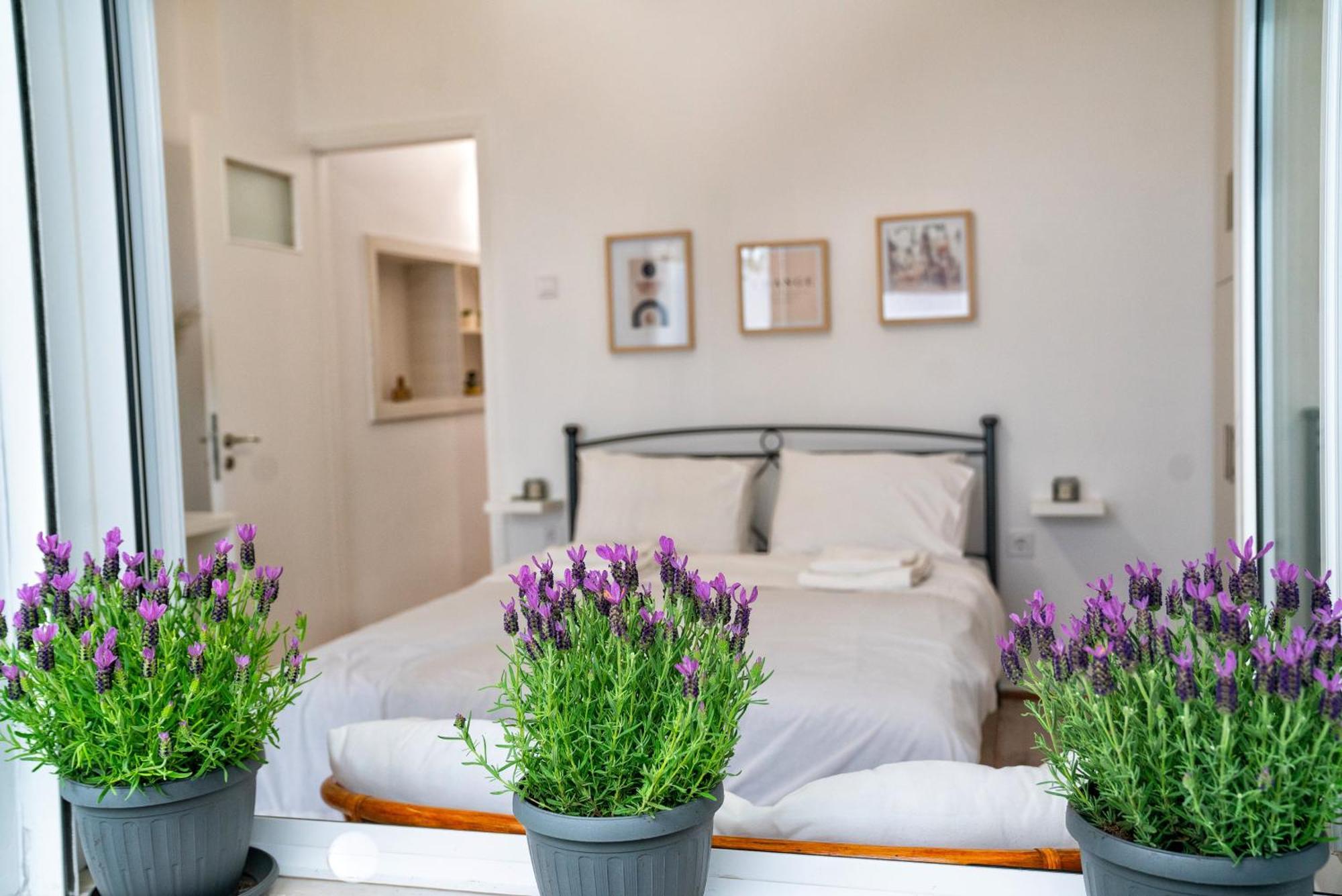 Lux Garden Apartment Near Acropolis In The Heart Of Athen Eksteriør bilde